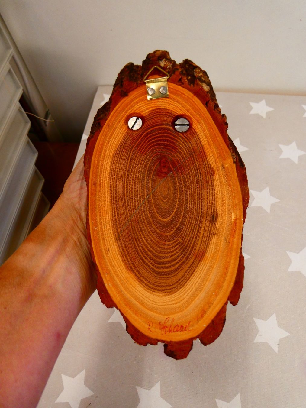 Il mondo degli animali: Geweih Reh? Hirsch? Nr. 2 – Usato da Rafz venduto da Powacaddy 2