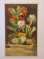 Künstlernamen mit Blumen