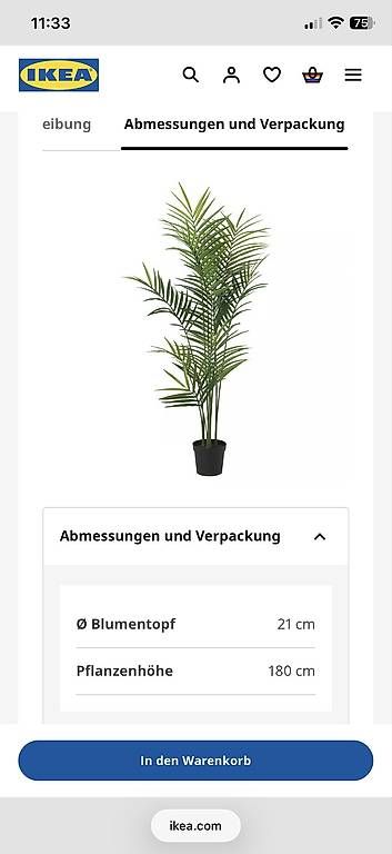 Plantes & graines: Kunstpflanze 180cm  – D'occasion à Dietikon par Cile5340 1