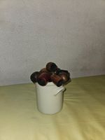 SammlungTabakpfeifen(Baccarat 849/P. Viou Super/MaitrePipier