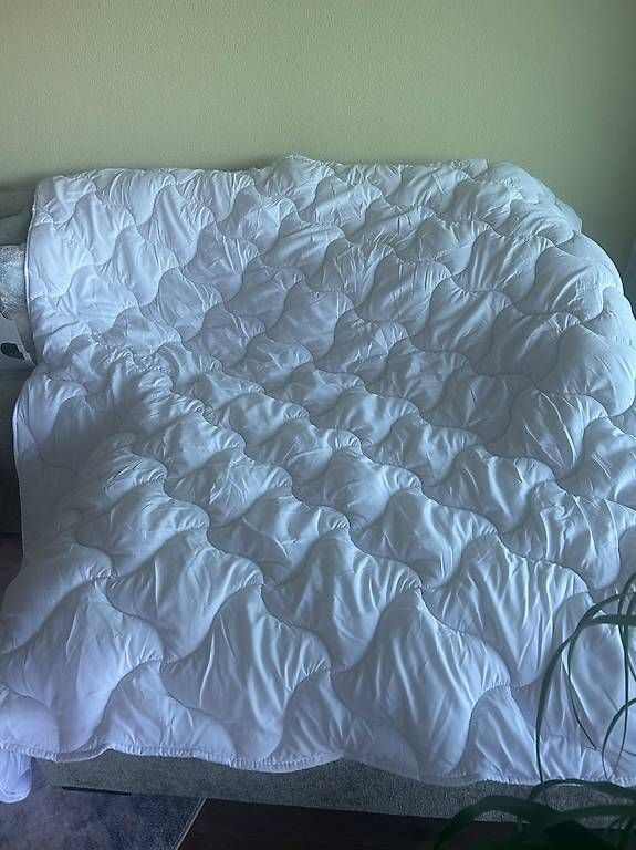 Coperte: Duvet 200/210 inkl. Anzug  – Usato da Gisikon venduto da mar_sx7k 3