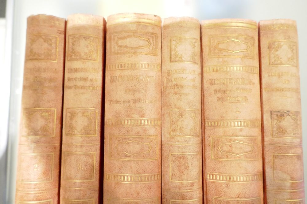 Livres: 6 Antike Bücher 1886-87 von Dr. A. Zimmermann Berlin – D'occasion à Schaffhausen par swisswatches-andmore 1