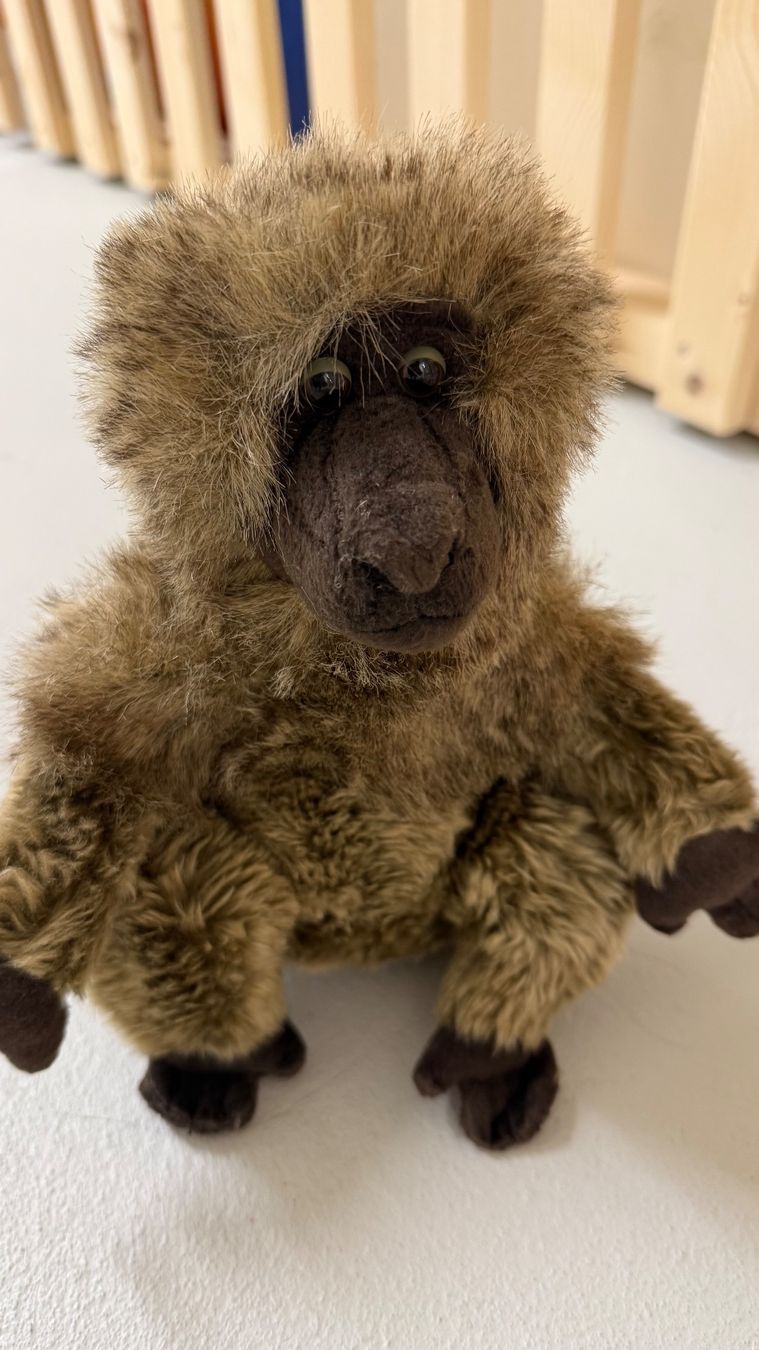 Jouets: 7 Teddy bears Gr. M and S – D'occasion à Wallisellen par S_lb 8