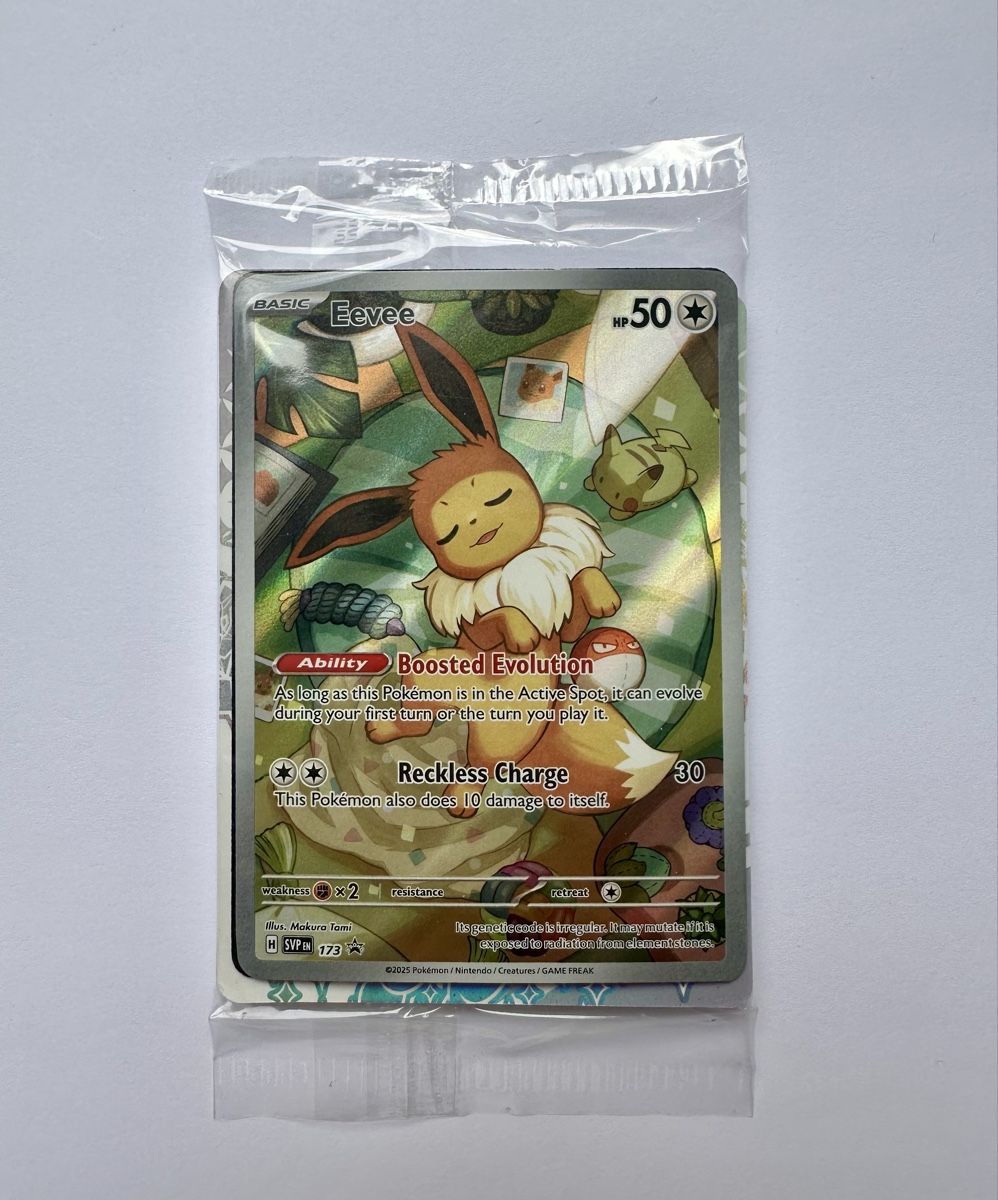 Pokémon Carte collezionabili: Eevee #173 PROMO sealed - Prismatic Evolution ETB - Ab 1.- – Usato da Bern venduto da HugoStiglitz11