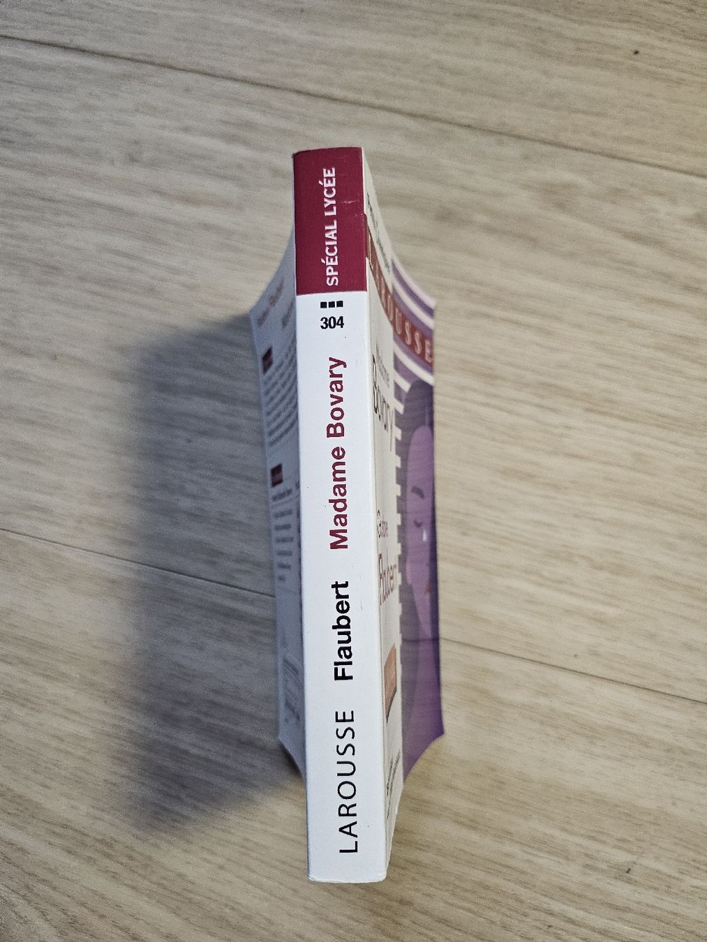 Libri: Madame Bovary - Gustave Flaubert - Spécial Lycée – Usato da La Joux FR venduto da car_ck96 4
