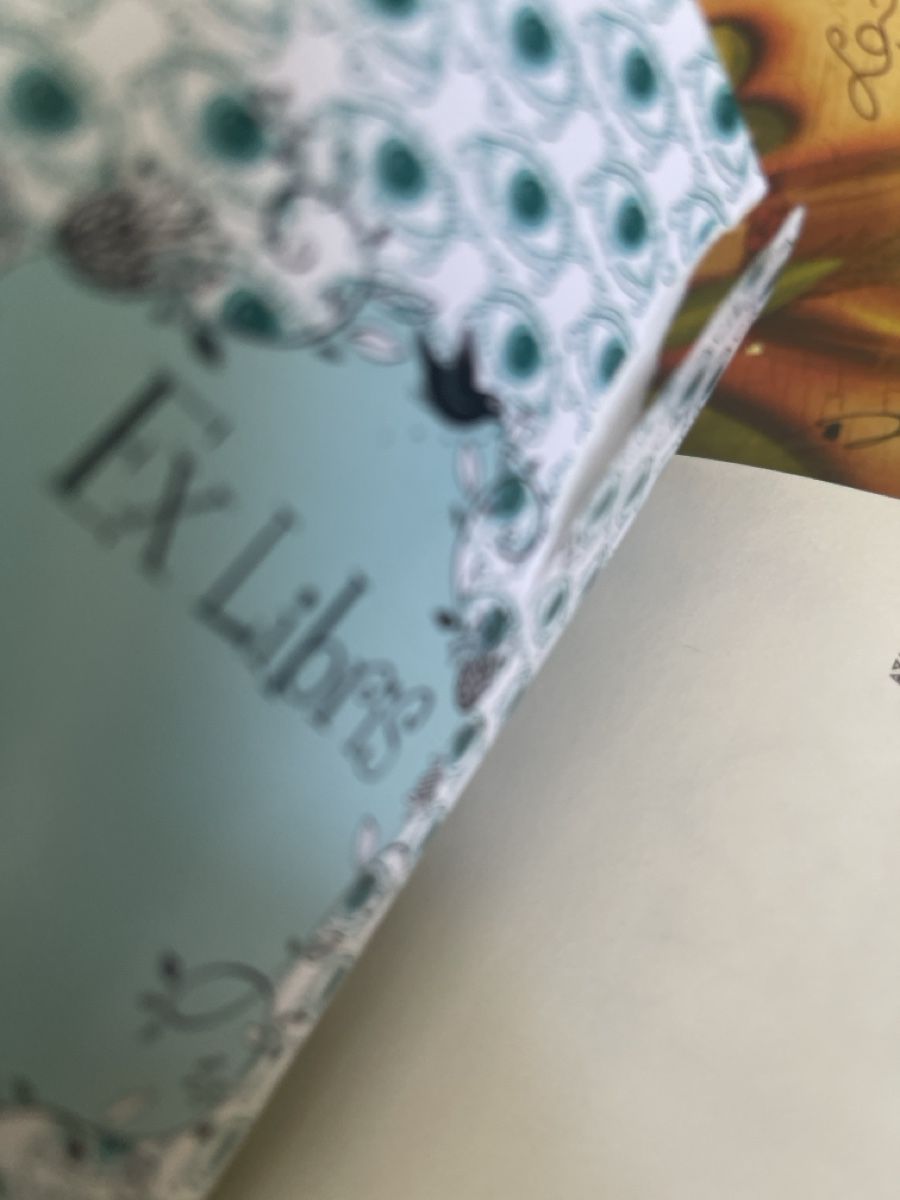 Bücher: Kerstin Gier - Silber: Das erste Buch der Träume ✨ – Gebraucht aus Zürich von Belisimo 4