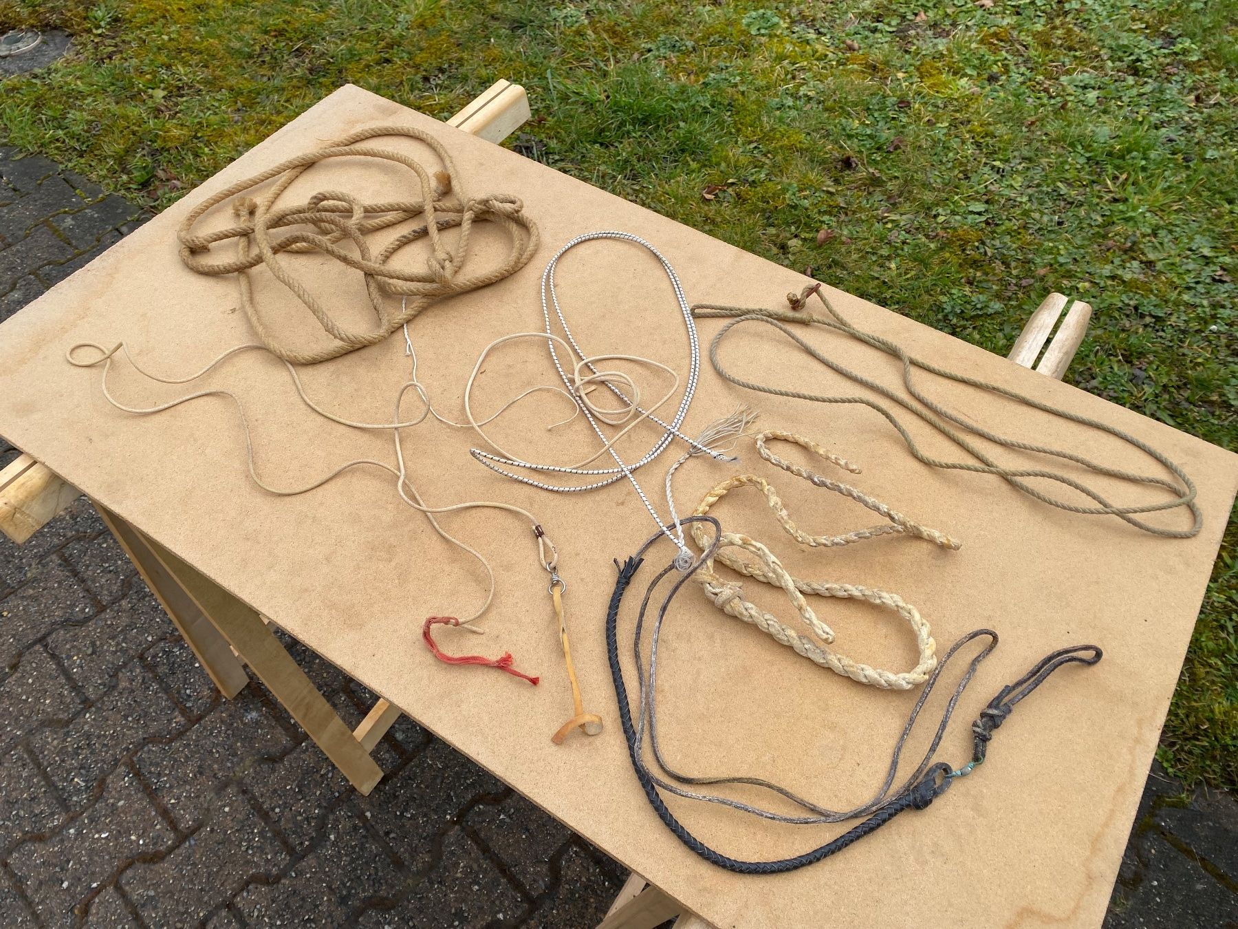Campanacci mucche: schöne Geisselzwicke – Usato da Feldbach venduto da Fea1 3
