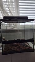 terrarium mit lampe