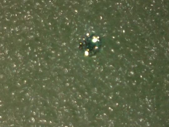 Pietre preziose: ECHT DIAMANT 1CARAT,,,RUND FORM,,,GLANZIG – Nuovo (secondo la descrizione) da Basel venduto da bijoutrie_4 4