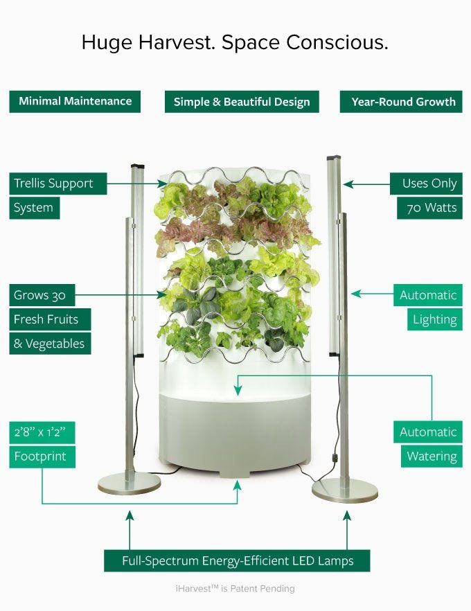 Box contenitori: Indoor Gardening - iHarvest / Hydroponik – Usato da Basel venduto da mar_7pjv