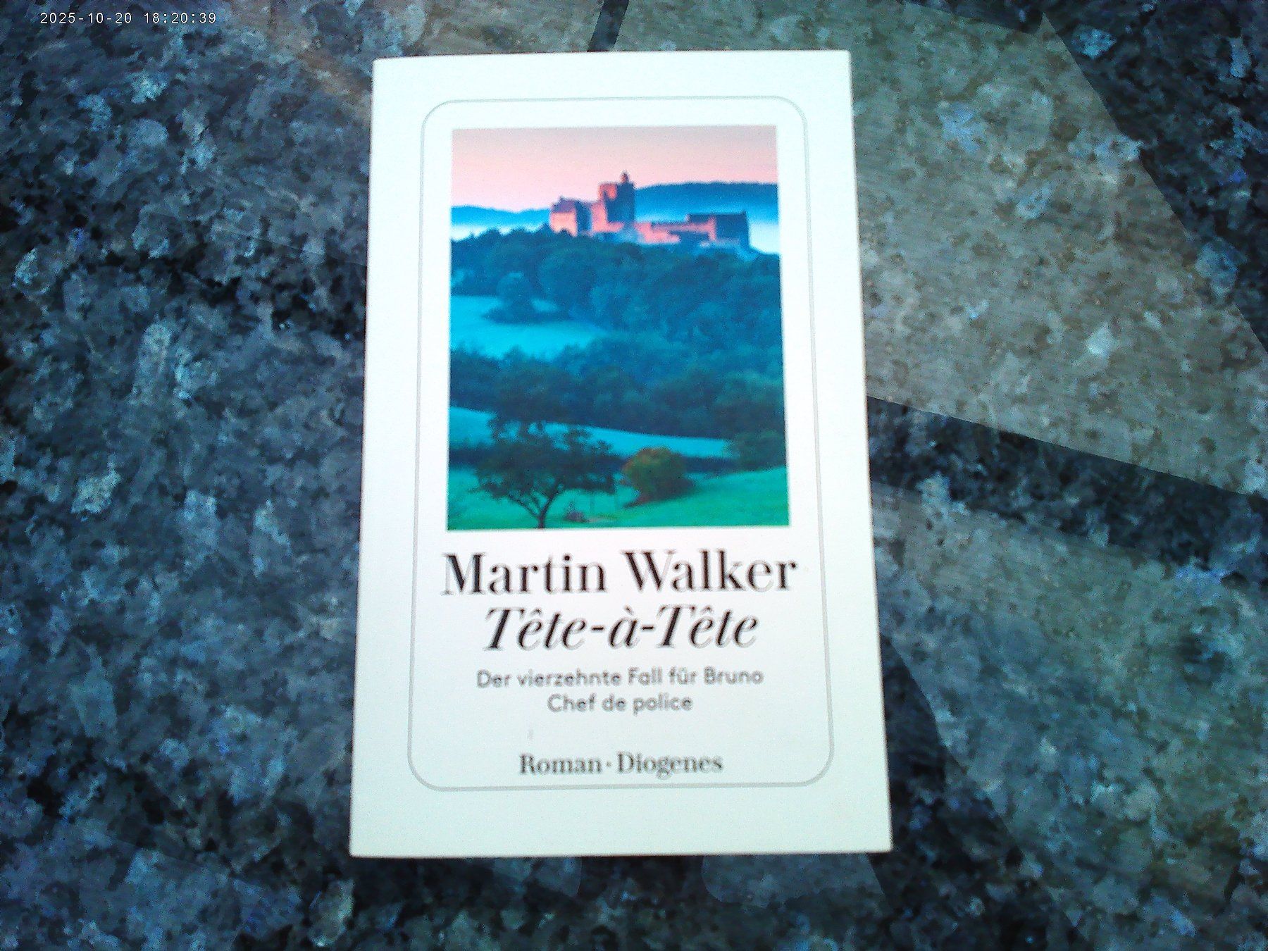 Libri: Tête - à - Tête von Martin Walker – Usato da reitnau venduto da Sib7