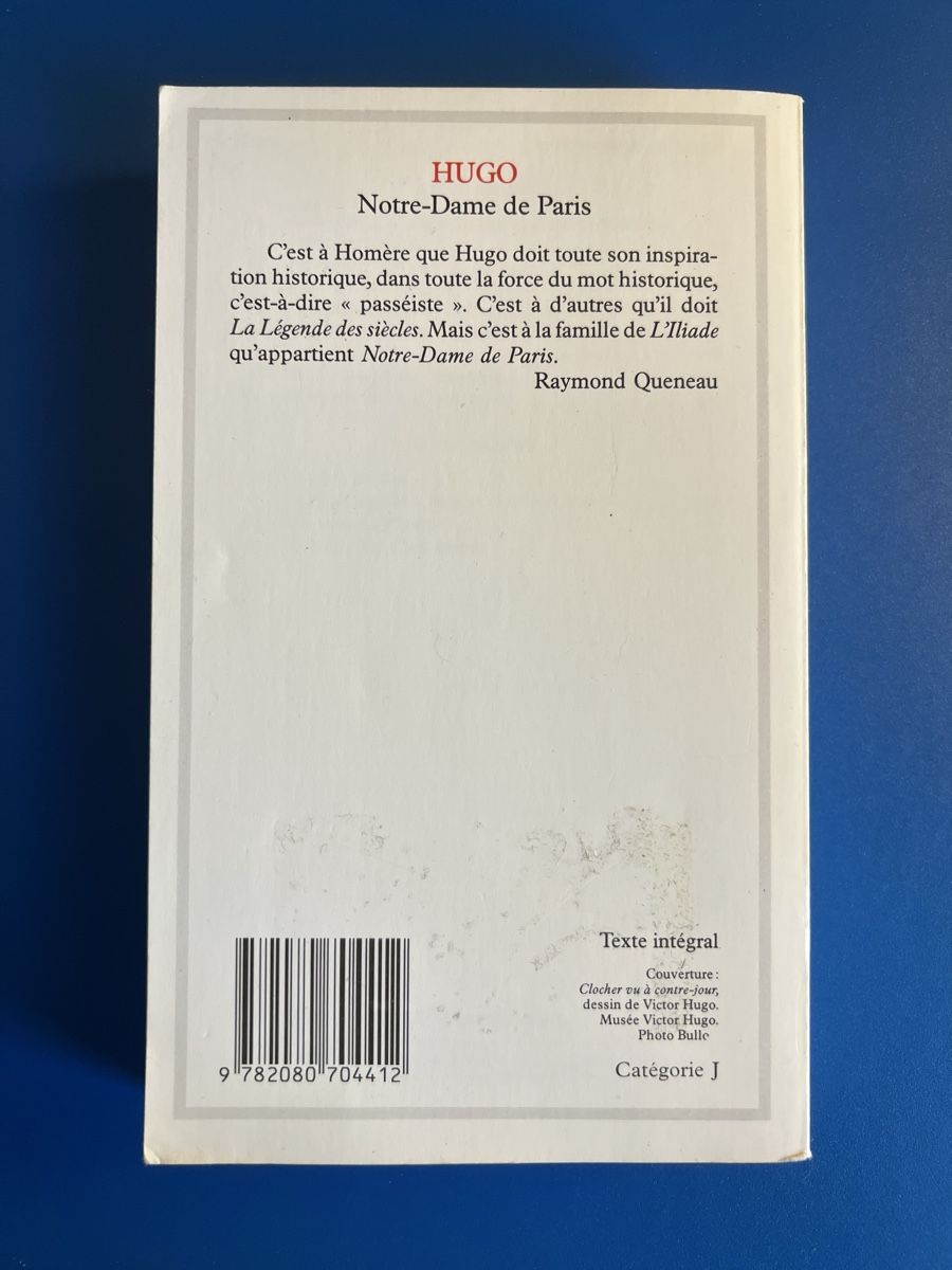 Libri: Victor Hugo - Notre-Dame de Paris – Usato da Valeyres-sous-Ursins venduto da ansuz_001 1