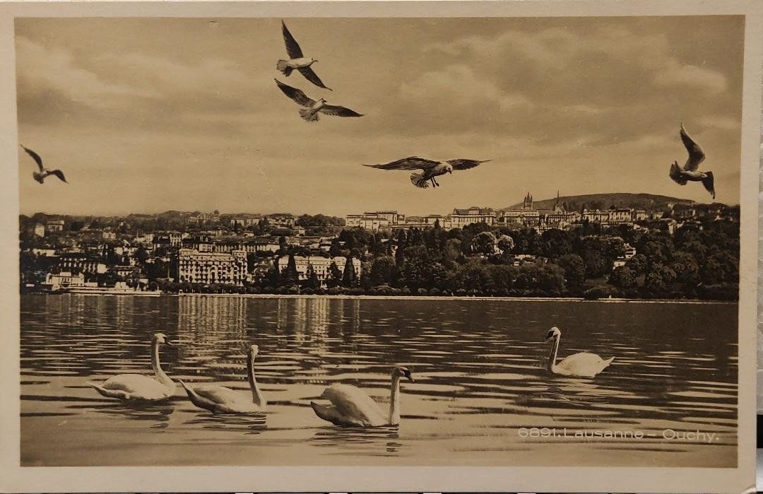 Cartoline postali: LAUSANNE - OUCHY – Usato da Delémont venduto da Domdom1