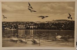 LAUSANNE - OUCHY