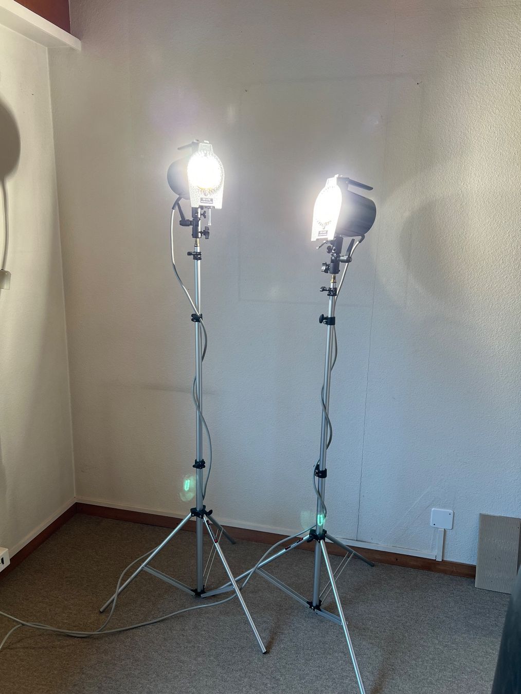 Manfrotto Lampade: Studioleuchten mit Manfrotto Stativen – Usato da Sennhof venduto da Johnbest 2