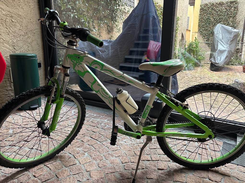 Biciclette: Mountain bike – Usato da Bissone venduto da gio_8zmy