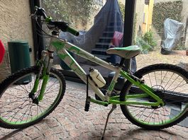 Mountain bike