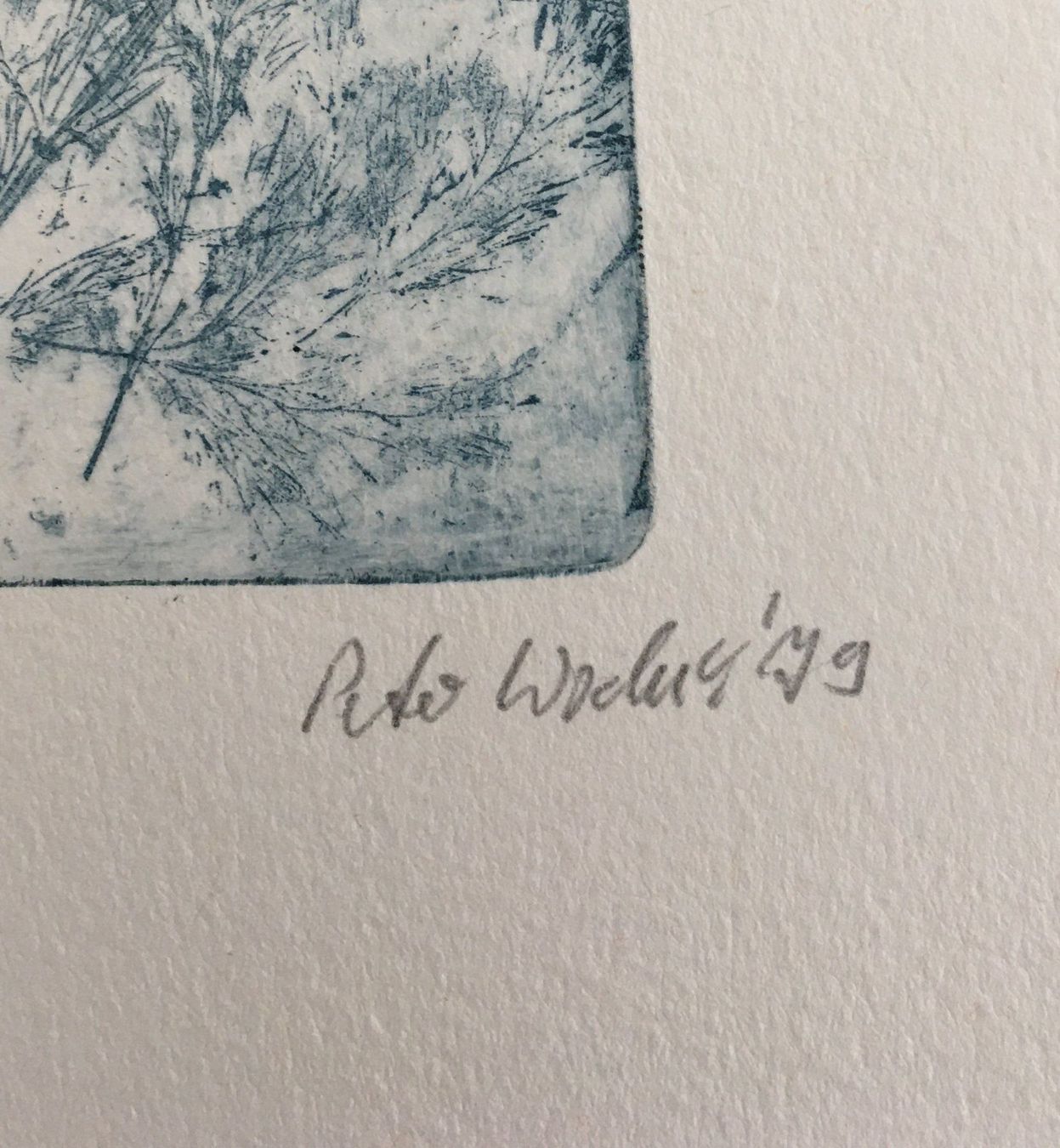 Grafica & Litografie: Peter Wodak     "Baum"   MONOTYPIE – Usato da Nennigkofen venduto da juhit 4