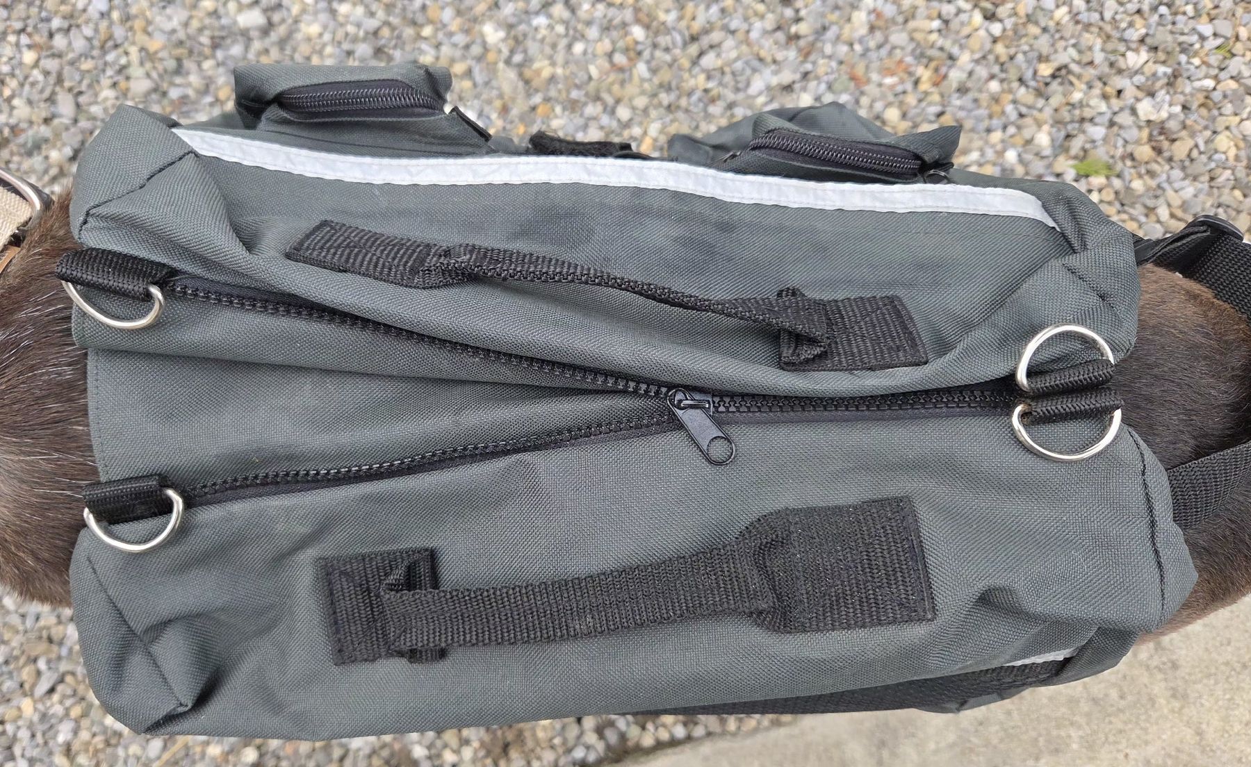 Zaini: Hunderucksack von Outdoor Doglife – Nuovo (secondo la descrizione) da Hallwil venduto da engebuehl 3
