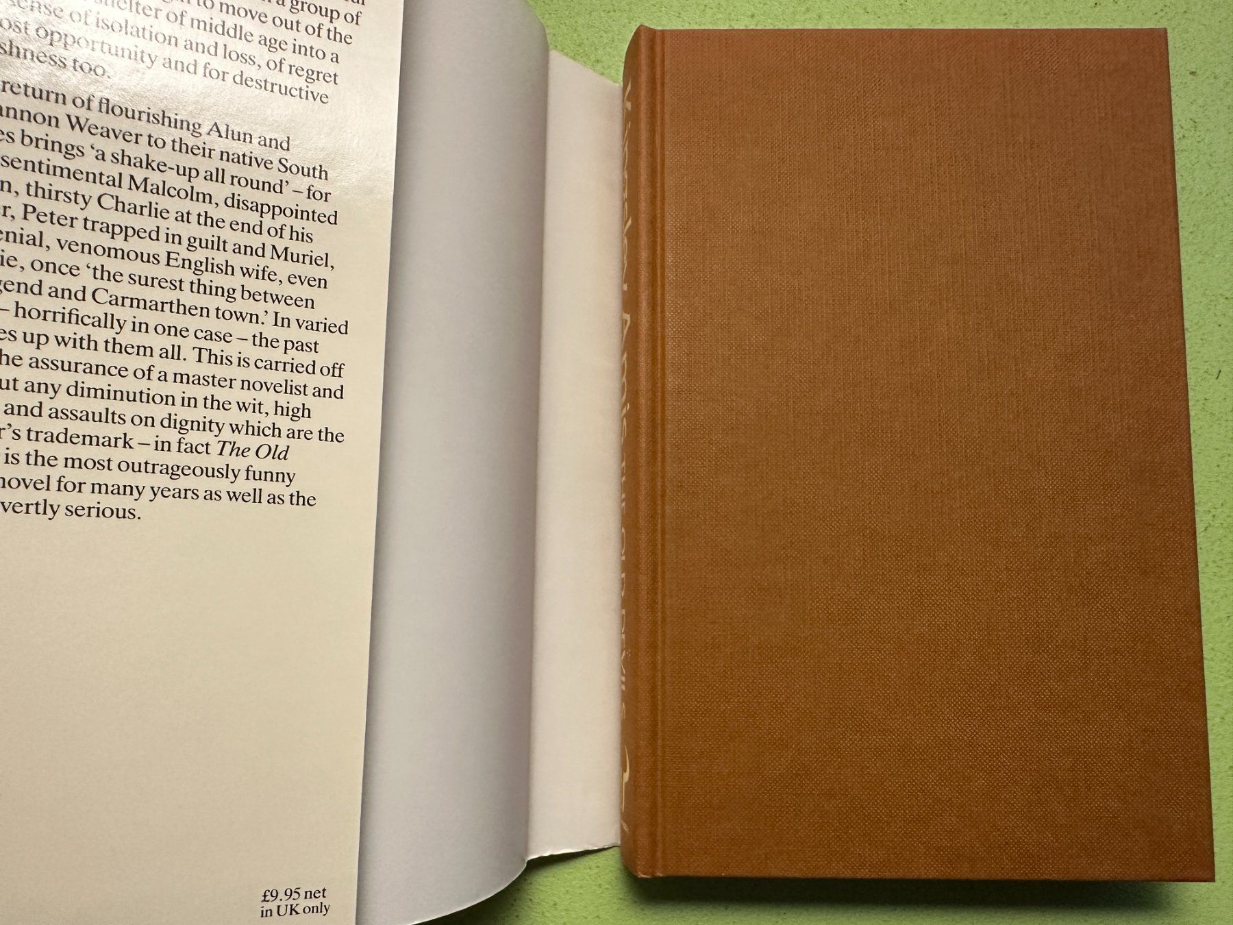 Libri: Kingsley Amis: The Old Devils – Usato da Zürich venduto da allp 1