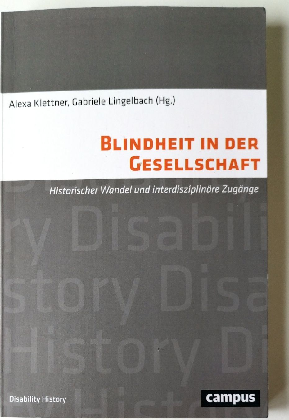 Libri: Zwei Bücher über Blindheit – Nuovo (secondo la descrizione) da Urswil venduto da fab_ydv7 2
