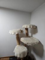 Luxus Designer-Kratzbaum von Ruben & Partner – Naturholz (Ma