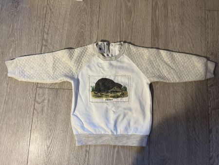 Petit Bateau & Deyrolle Baby Sweatshirt, Size 24 Months