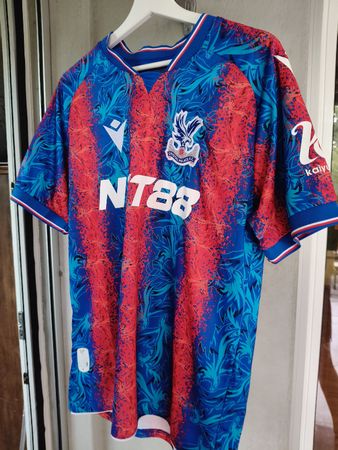 Crystal Palace Shirt mit Eze und FA Cup Print