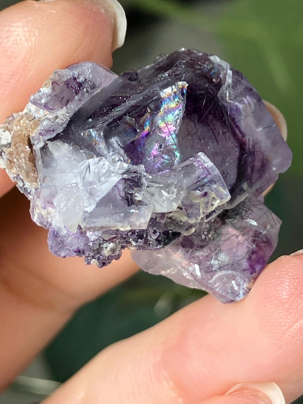 Edelsteine: Inner Mongolia Fluorit – Neu (gemäss Beschreibung) aus Neuheim von m.hald 4
