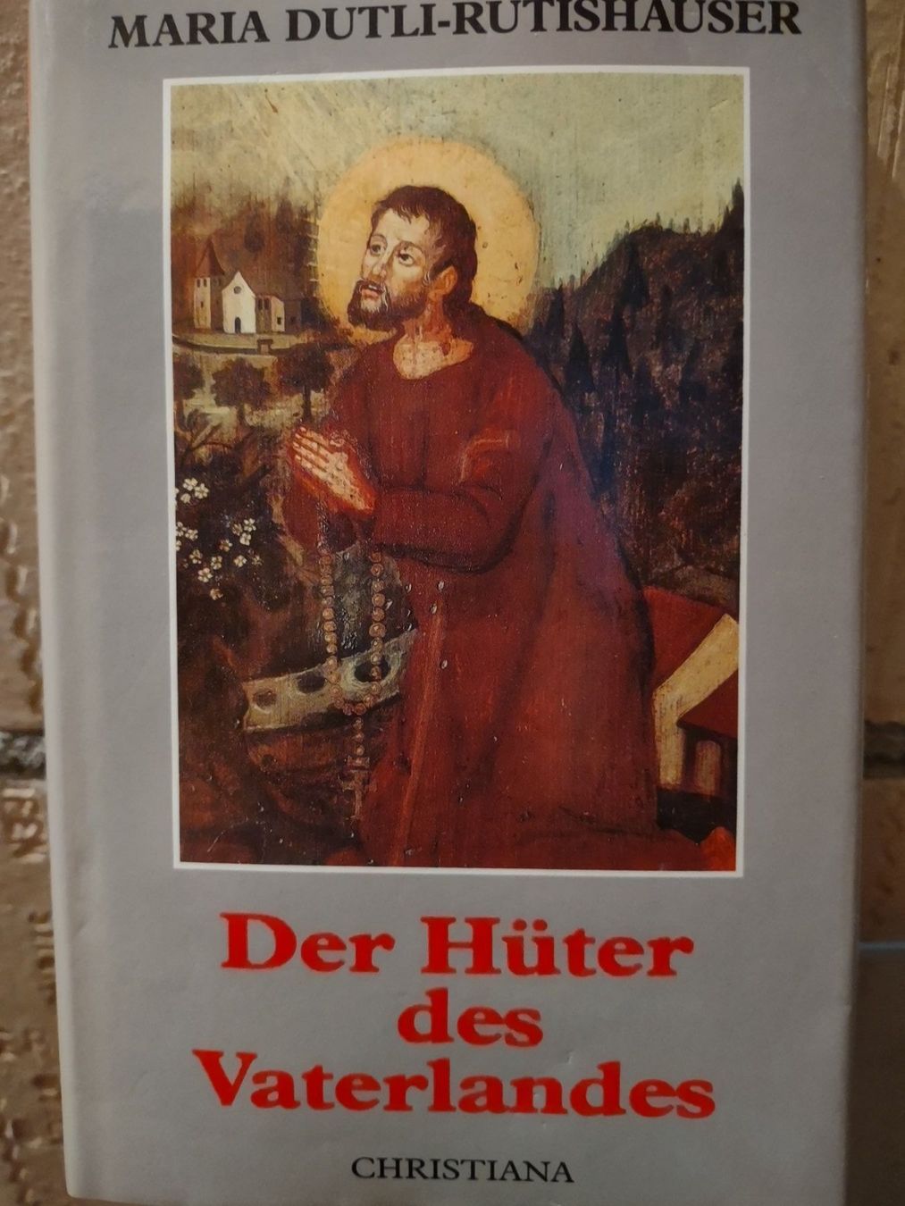 Libri: Der Hüter Des Vaterlandes – Usato da Bassersdorf venduto da kal_99sw