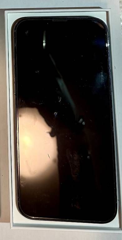 Telefoni cellulari / Smartphones: iPhone 13 Pro Max 128Gb – Usato da Pregassona venduto da MartinaGurtner 3