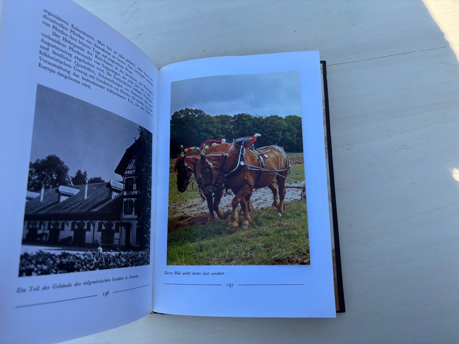 Kutschen: Buch Das Pferd – Gebraucht aus Feldbach von Fea1 7
