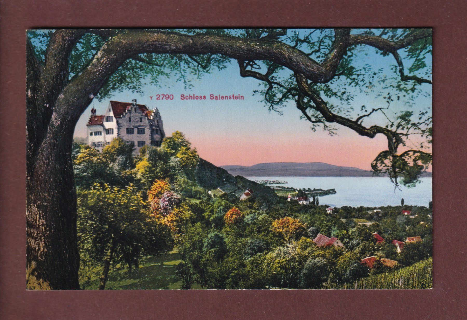 Ansichtskarten: SCHLOSS SALENSTEIN – Gebraucht aus Pully von nicecards
