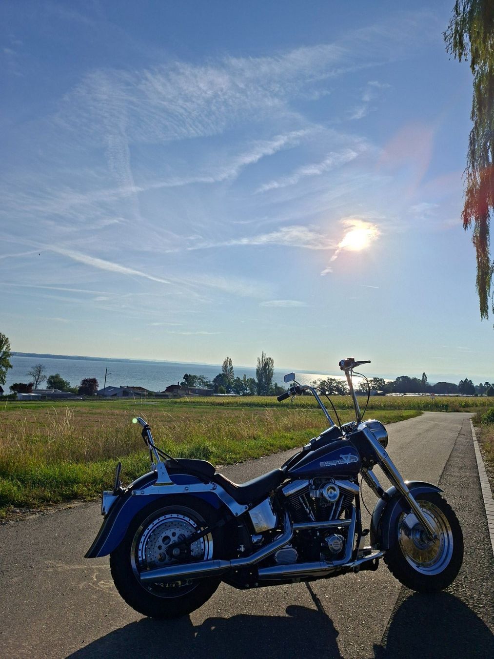 Harley-Davidson Touring: Harley Davidson Fat Boy  1340 Vergaser – Gebraucht aus Volketswil von LuckyandCandy