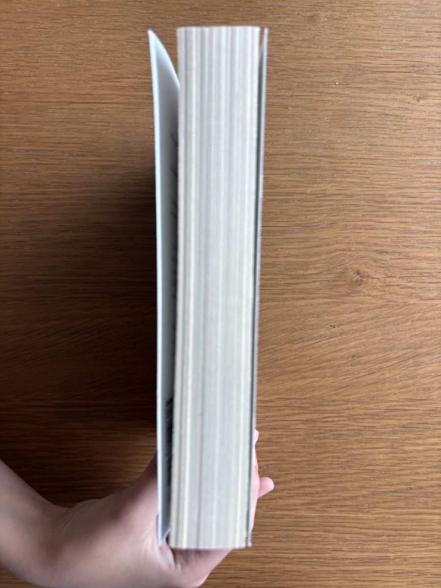 Libri: Katherine Applegate - the one and only Ivan ENGLISCH – Usato da Basel venduto da mon_7pfq 3
