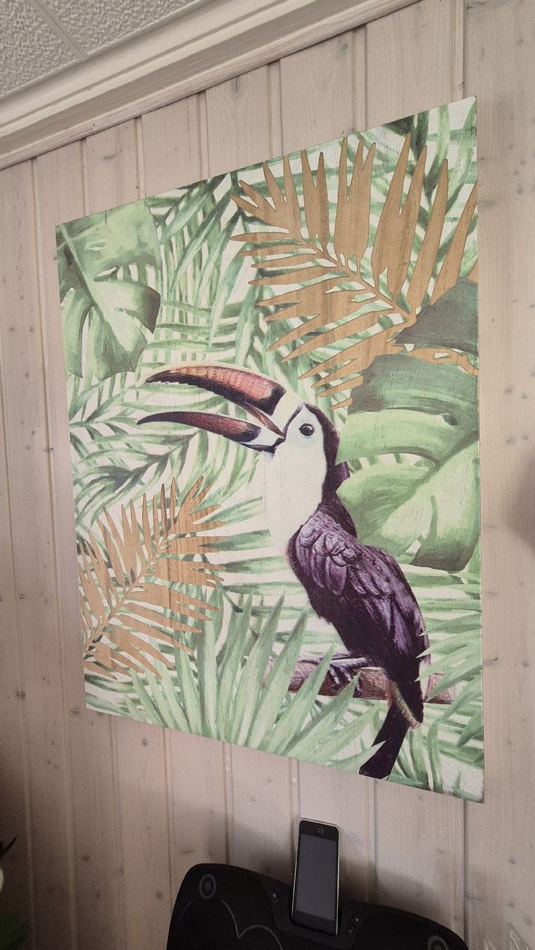 Tutte le decorazioni: Tableau décoratif motif toucan – Usato da jussy venduto da Mapetitebroc