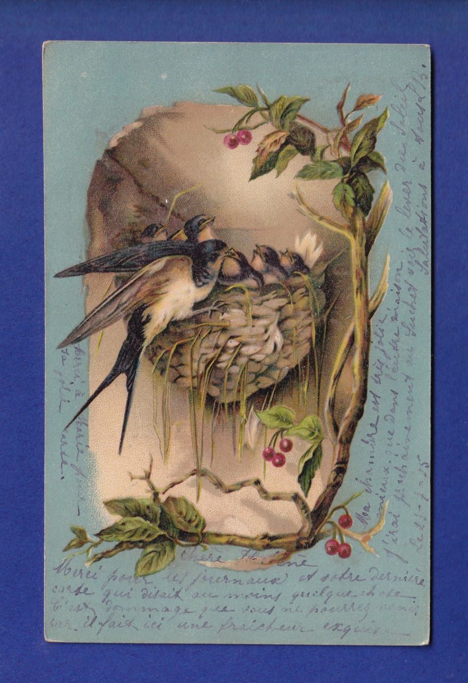 Ansichtskarten: OISEAU - Hirondelle et nid – Gebraucht aus Pully von nicecards-shop