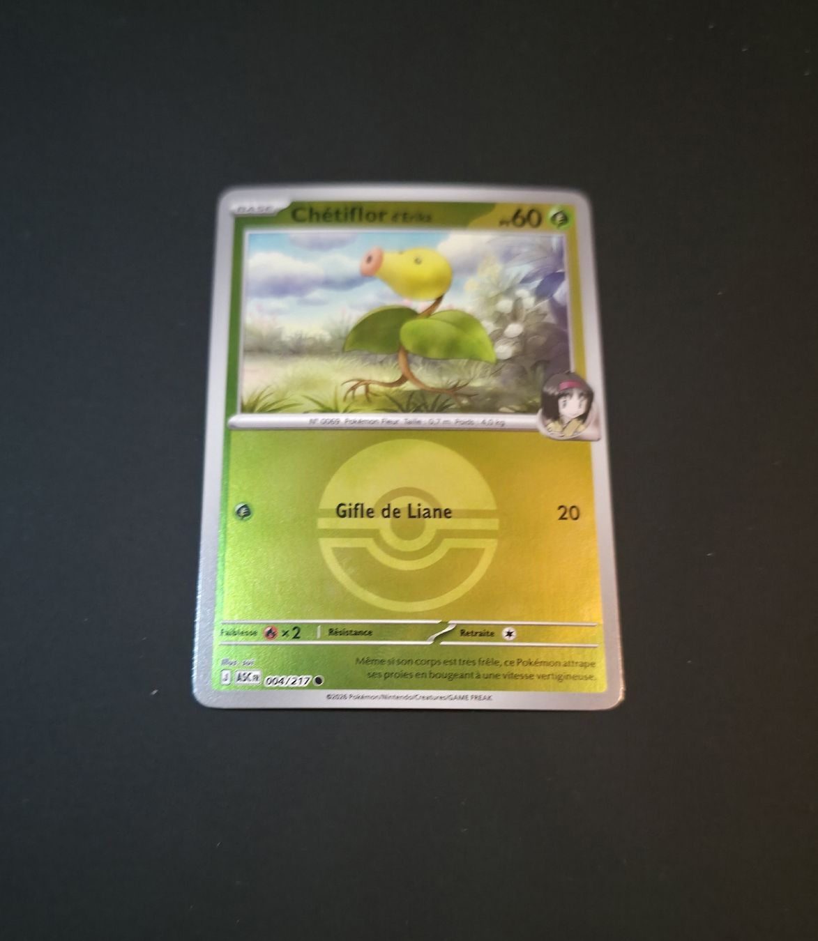 Pokémon Carte collezionabili: Asc 004 Reverse Pokeball  – Nuovo (secondo la descrizione) da Le Lignon venduto da Nathium