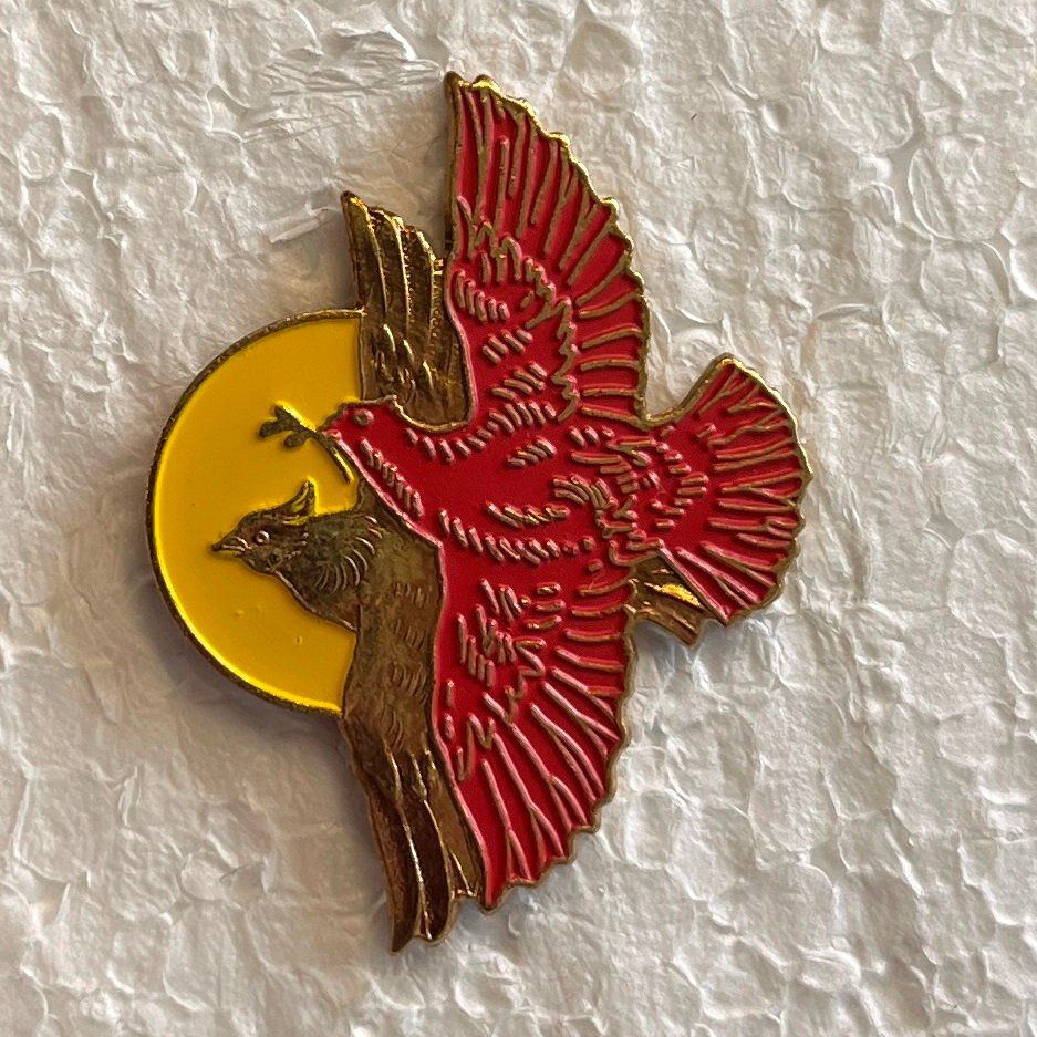 Swiss Placchette & Badge: Pin Simone Erni - FRIEDEN AUF ERDEN – Usato da Obernau venduto da Wgnom