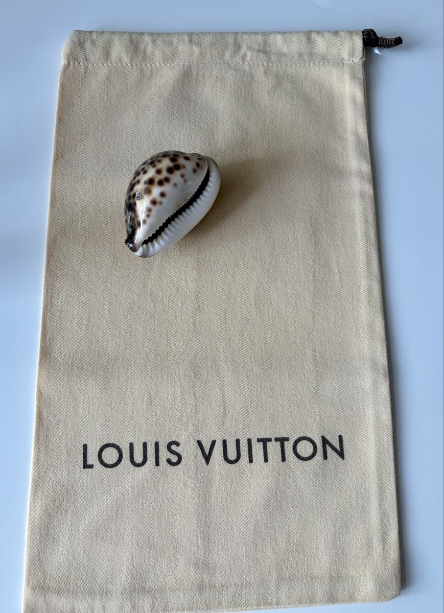 Louis Vuitton Taschen: Louis Vuitton 🌹Staubbeutel 23x39cm – Neu (gemäss Beschreibung) aus Adliswil von Moroz173 1