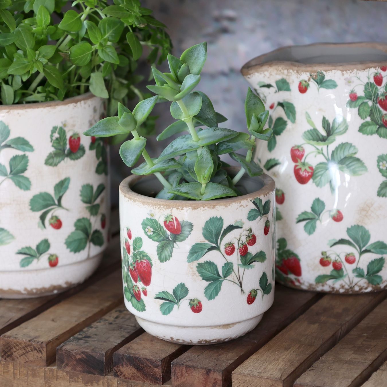 Vasi per fiori: Chic Antique Übertopf "Fraises", Höhe 10 cm – Nuovo e nell'imballaggio originale da Innertkirchen venduto da Glatthard-Interior