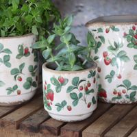 Chic Antique Übertopf "Fraises", Höhe 10 cm