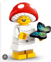 Lego Minifiguren Serie 25