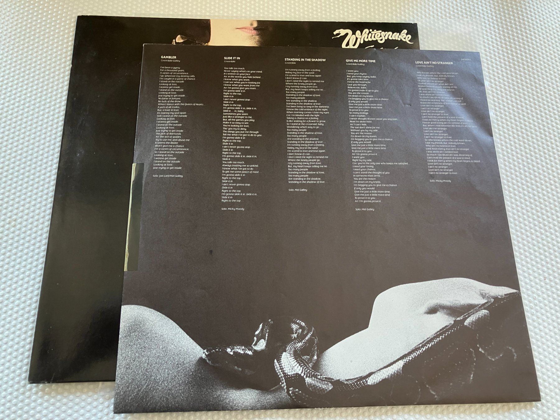 Dischi in vinile: Whitesnake – Usato da Aarwangen venduto da Jukebox3 5