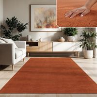 ANGEBOT ▶️  Teppich Wohnzimmer RIESIG! 3x4 m Kupfer