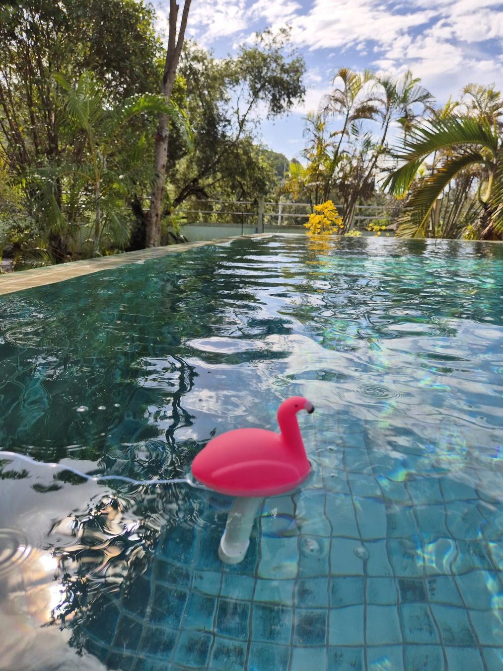 Altro per la casa: Geschenkidee Schwimmthermometer Pooltier  neu – Nuovo e nell'imballaggio originale da Urdorf venduto da villakagu