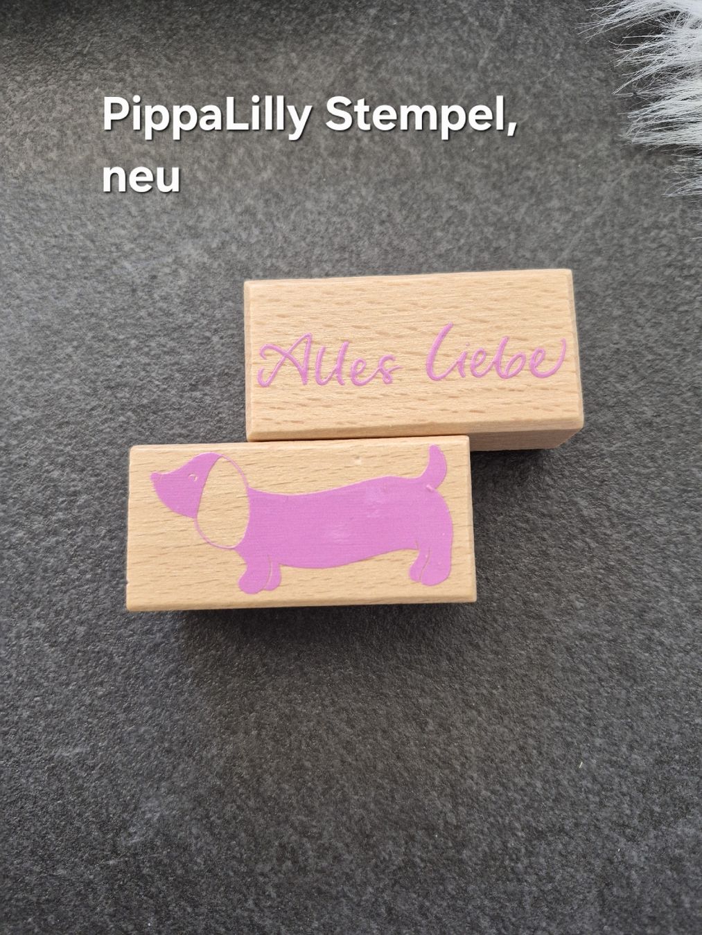 Timbri: Holzstempel Set PippaLilly – Nuovo (secondo la descrizione) da Altdorf SH venduto da MR2509