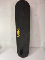 Skateboard Area mit Tiger Motiv gebrauchter Zustand