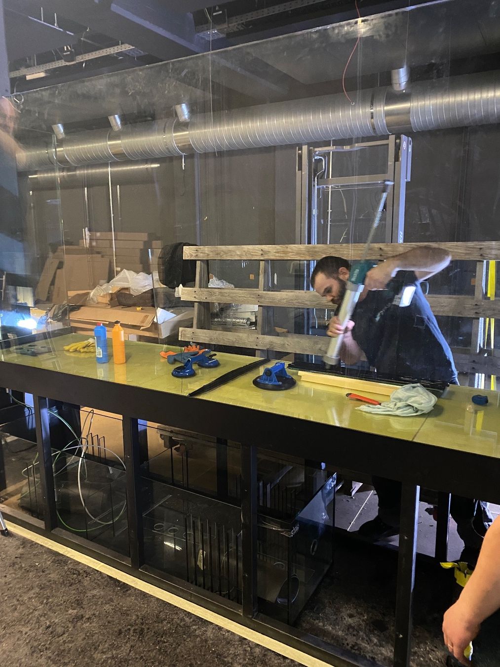 Acquari: Vor-Ort-Verklebung Aquarium – Nuovo (secondo la descrizione) da Berikon venduto da fischundart 4