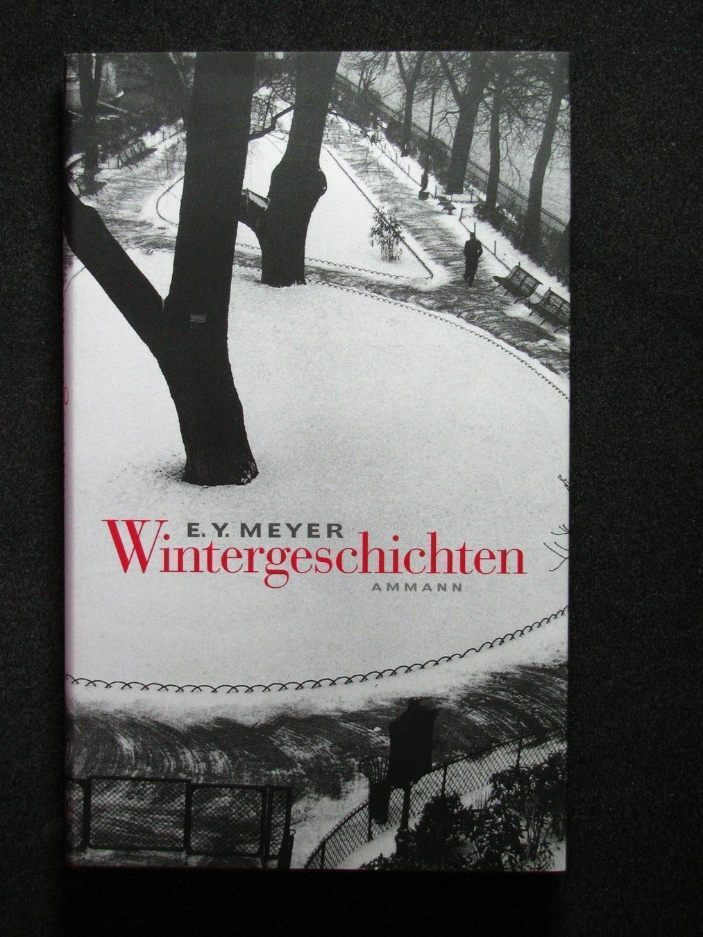 Libri: E. Y. Meyer Wintergeschichten – Usato da Reitnau venduto da Zaomir